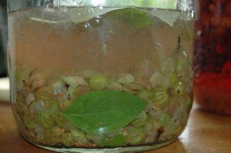 Nalewka wielowocowa (ratafia)